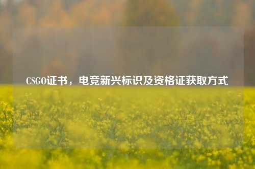 CSGO证书，电竞新兴标识及资格证获取方式