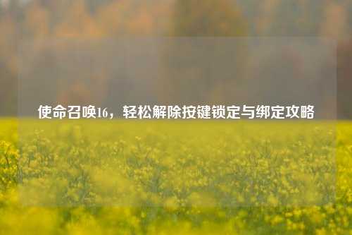 使命召唤16，轻松解除按键锁定与绑定攻略