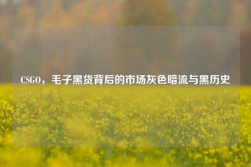 CSGO，毛子黑货背后的市场灰色暗流与黑历史