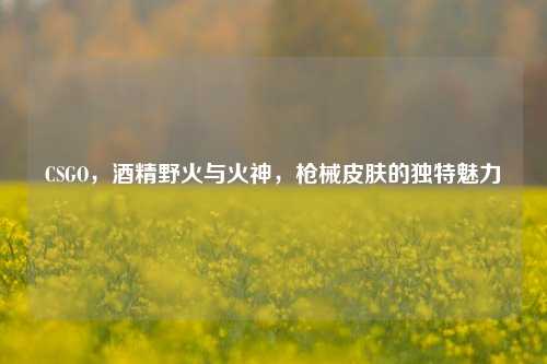 CSGO，酒精野火与火神，枪械皮肤的独特魅力
