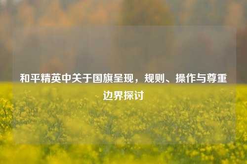 和平精英中关于国旗呈现,规则、操作与尊重边界探讨