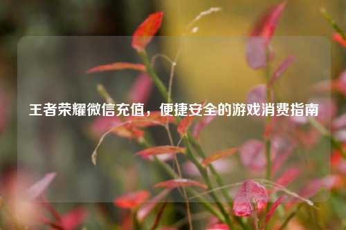 王者荣耀微信充值，便捷安全的游戏消费指南