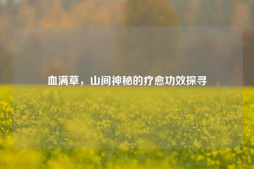 血满草，山间神秘的疗愈功效探寻