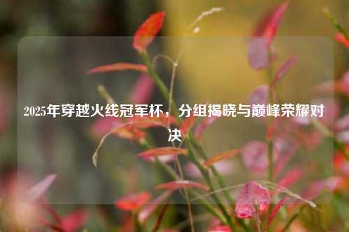 2025年穿越火线冠军杯，分组揭晓与巅峰荣耀对决