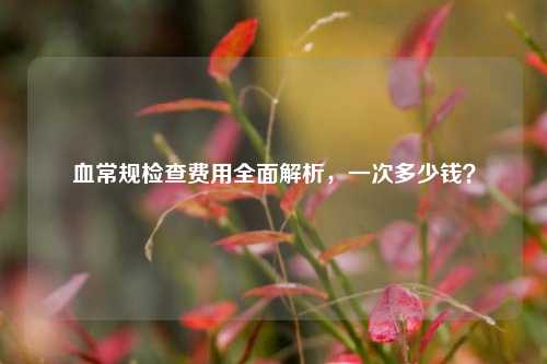 血常规检查费用全面解析，一次多少钱？
