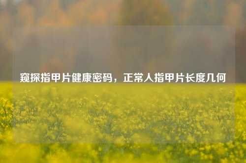 窥探指甲片健康密码，正常人指甲片长度几何