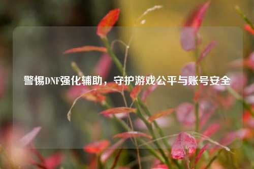 警惕DNF强化辅助，守护游戏公平与账号安全