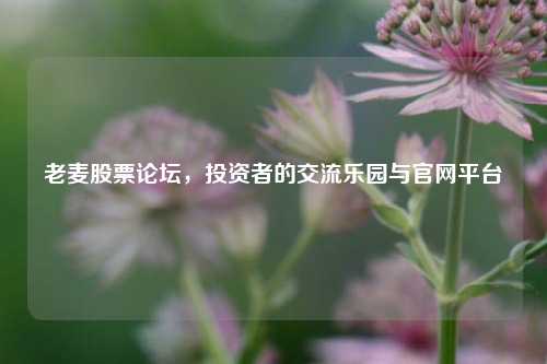 老麦股票论坛，投资者的交流乐园与官网平台