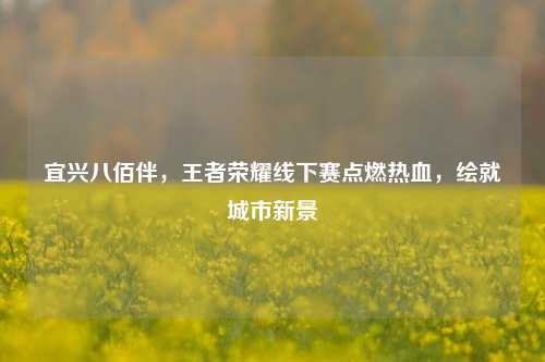 宜兴八佰伴，王者荣耀线下赛点燃热血，绘就城市新景