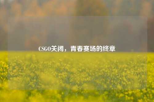CSGO关闭，青春赛场的终章