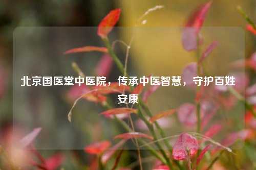 北京国医堂中医院，传承中医智慧，守护百姓安康