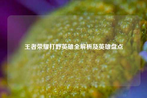 王者荣耀打野英雄全解析及英雄盘点