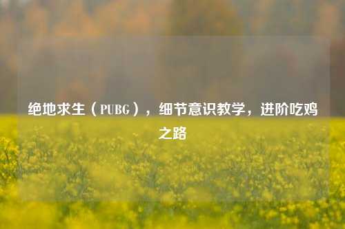 绝地求生（PUBG），细节意识教学，进阶吃鸡之路