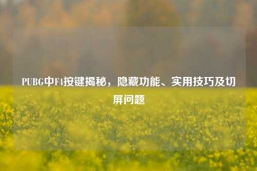 PUBG中F4按键揭秘，隐藏功能、实用技巧及切屏问题