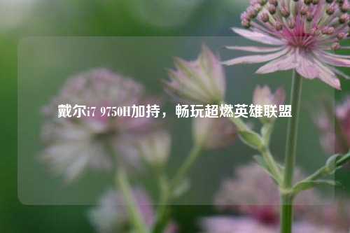 戴尔i7 9750H加持，畅玩超燃英雄联盟