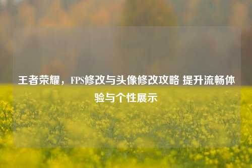 王者荣耀,FPS修改与头像修改攻略 提升流畅体验与个性展示