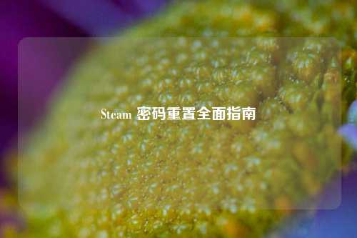Steam 密码重置全面指南