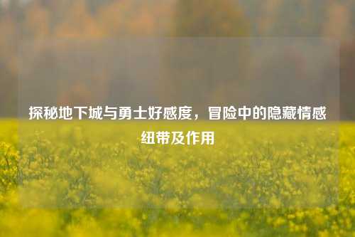 探秘地下城与勇士好感度，冒险中的隐藏情感纽带及作用