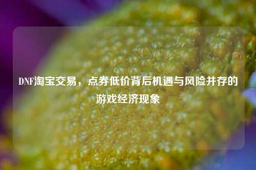 DNF淘宝交易，点券低价背后机遇与风险并存的游戏经济现象