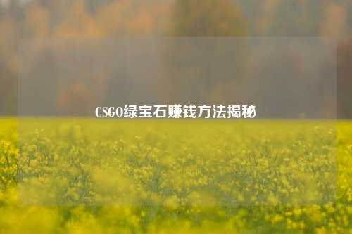 CSGO绿宝石赚钱方法揭秘