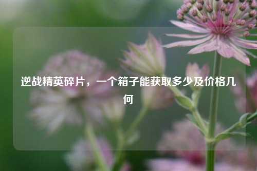 逆战精英碎片，一个箱子能获取多少及价格几何