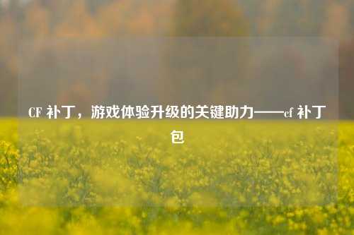 CF 补丁，游戏体验升级的关键助力——cf 补丁包