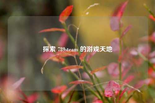 探索 789steam 的游戏天地