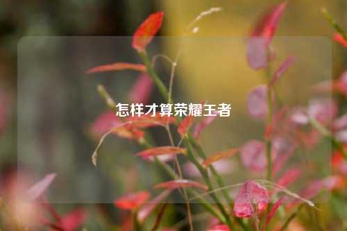 怎样才算荣耀王者