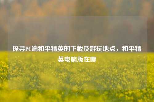 探寻PC端和平精英的下载及游玩地点，和平精英电脑版在哪