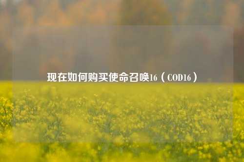 现在如何购买使命召唤16（COD16）