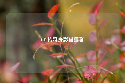 CF 传奇身影猎狐者