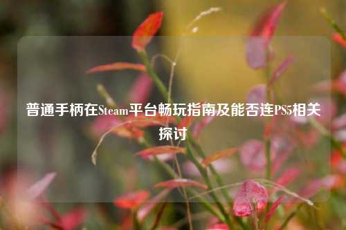 普通手柄在Steam平台畅玩指南及能否连PS5相关探讨