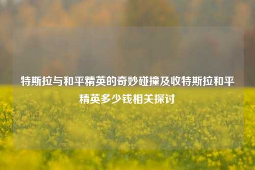 特斯拉与和平精英的奇妙碰撞及收特斯拉和平精英多少钱相关探讨