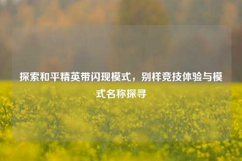 探索和平精英带闪现模式，别样竞技体验与模式名称探寻