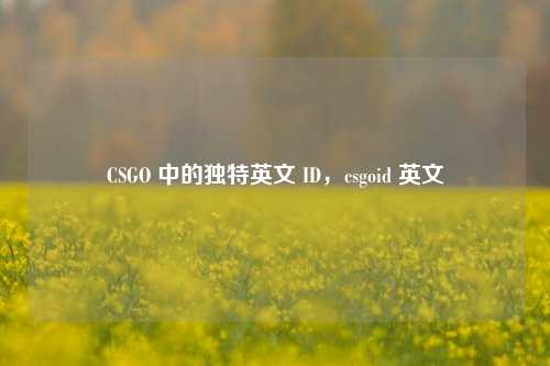 CSGO 中的独特英文 ID,csgoid 英文