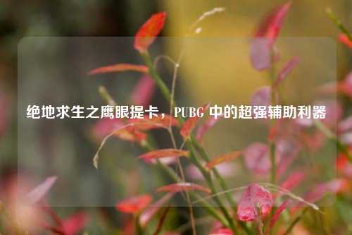 绝地求生之鹰眼提卡，PUBG 中的超强辅助利器