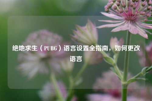 绝地求生（PUBG）语言设置全指南，如何更改语言