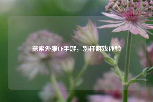 探索外服CF手游，别样游戏体验
