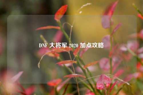 DNF 大将军 2020 加点攻略