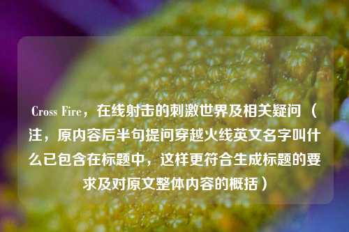 Cross Fire，在线射击的刺激世界及相关疑问 （注，原内容后半句提问穿越火线英文名字叫什么已包含在标题中，这样更符合生成标题的要求及对原文整体内容的概括）