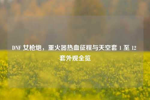 DNF 女枪炮，重火器热血征程与天空套 1 至 12 套外观全览