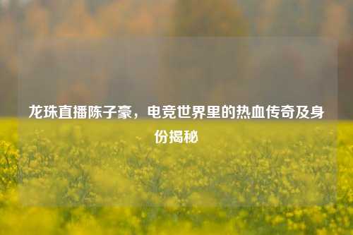 龙珠直播陈子豪，电竞世界里的热血传奇及身份揭秘