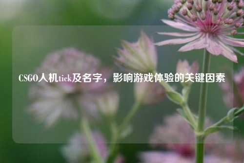 CSGO人机tick及名字，影响游戏体验的关键因素