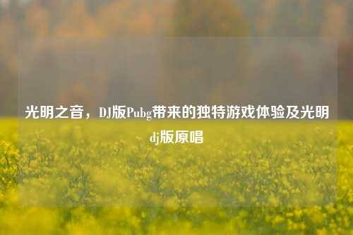 光明之音,DJ版Pubg带来的独特游戏体验及光明dj版原唱