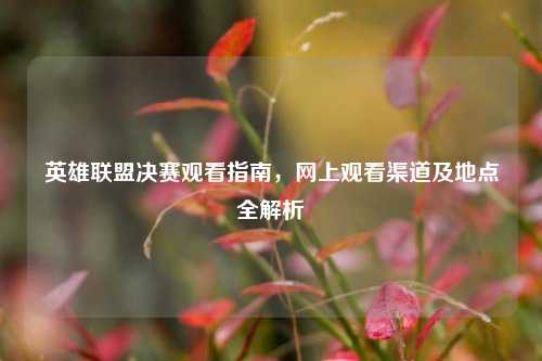 英雄联盟决赛观看指南，网上观看渠道及地点全解析