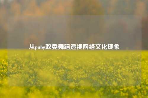 从pubg政委舞蹈透视网络文化现象