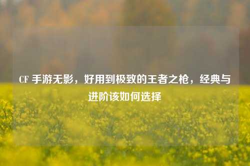 CF 手游无影，好用到极致的王者之枪，经典与进阶该如何选择