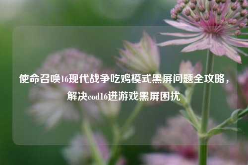 使命召唤16现代战争吃鸡模式黑屏问题全攻略，解决cod16进游戏黑屏困扰