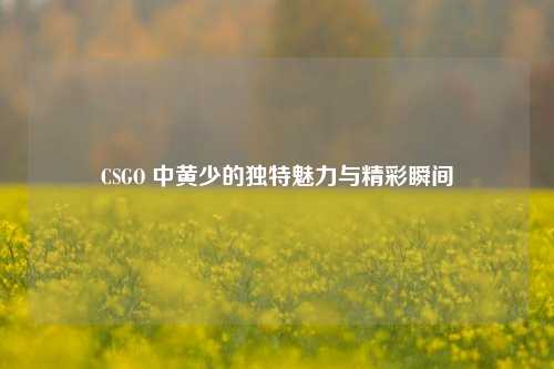 CSGO 中黄少的独特魅力与精彩瞬间