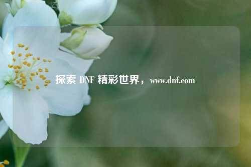 探索 DNF 精彩世界，www.dnf.com